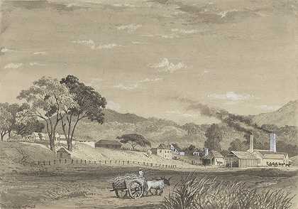 阿鲁卡花园庄园`Garden Estate, Arouca (1857) by Michel Jean Cazabon