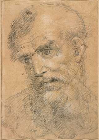 胡子男人的头`Head of a Bearded Man (1525~1544) by Giovanni Antonio Sogliani