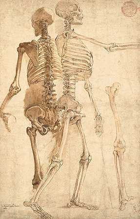 两个骨骼研究`Deux études de squelettes by Giovanni-Battista Franco