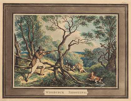 伍德考克枪击案`Woodcock shooting (1796) by Samuel Howitt