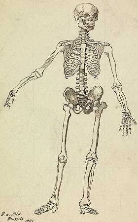 骨架画`Drawing of a Skeleton (1881) by George Augustus Sala