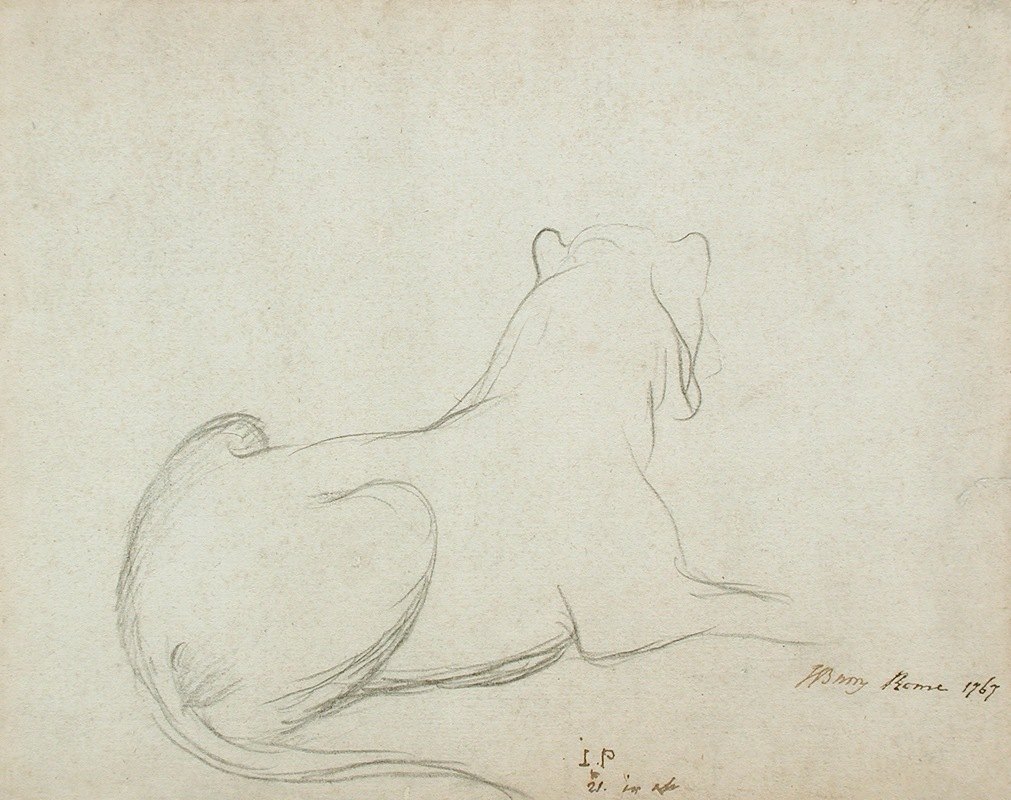 母狮`Lioness (1767) by James Barry