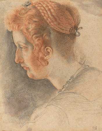 女人的头`Head of a Woman by Italian 16th Century