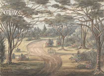 来自万斯特德格罗夫花园`From Flower Garden, Wanstead Grove (1824 to 1832) by Anne Rushout
