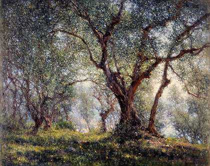 下巴橄榄树`Les oliviers à Menton (1918) by Henry Brokman