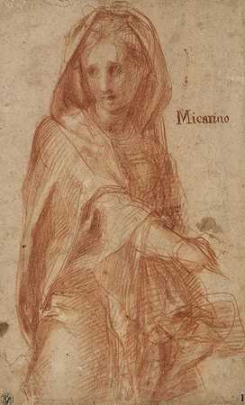 戴着盖头的女性雕像（Santissima Annunziata探访壁画中的一个人物研究）`Female figure with covered head (study for a figure in the fresco of the Visitation in Santissima Annunziata) (1514 ~ 1515) by Pontormo