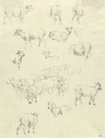 羊群`Flock of Sheep (after 1794) by Robert Hills