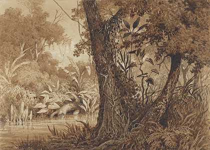 在西马罗内罗河上`On the Cimaronero River (1857) by Michel Jean Cazabon
