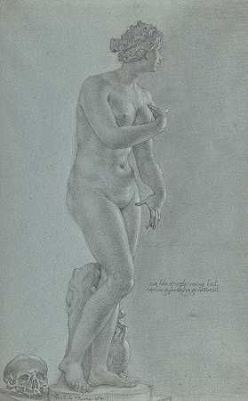维纳斯德美第奇从前面看`Venus de Medici; view from the front (1640) by Peter van Lint