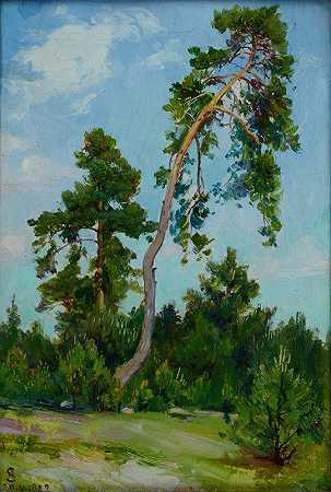 倾斜的松树`Leaning Pine (1922) by Ambroży Sabatowski