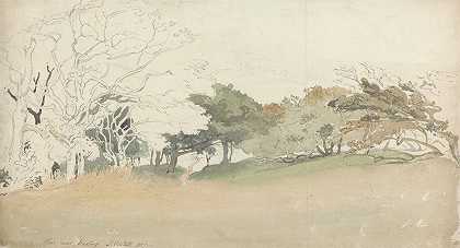 黑斯廷斯附近的树木`Trees near Hastings (1807) by Joshua Cristall