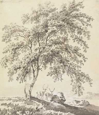 牡鹿树木研究（景观）`Tree Study with Stags (Landscape) by George Barret