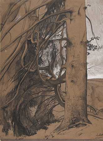阿基坦岛兰德森林中的一棵冷杉`A Fir Tree in the Forest of the Landes, Aquitane (1909) by René-Ernest Huet