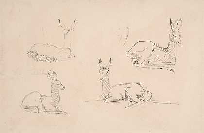 帕拉鹿休息的研究`Studies of Pallah Deer Resting (ca. 1801) by Samuel Daniell