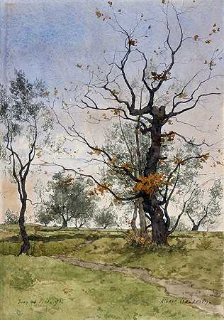 胡安莱斯平斯的橡树和橄榄树`Chêne et oliviers à Juan~les~Pins (1890) by Albert Gosselin