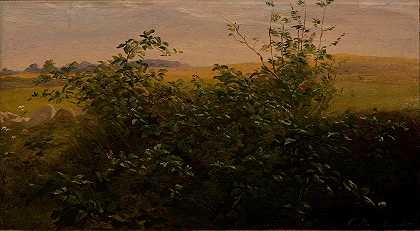 黑莓树篱`Hedge with blackberry (1846) by Carlo Dalgas