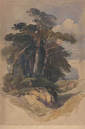 汉普斯特德荒原上的松树`Pines on Hampstead Heath (1842) by William James Müller