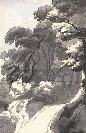 栗树林，靠近阿尔巴诺湖附近的罗卡德尔帕帕`The Chestnut Grove, Near Rocca del Papa Near Lake Albano (1781) by Francis Towne