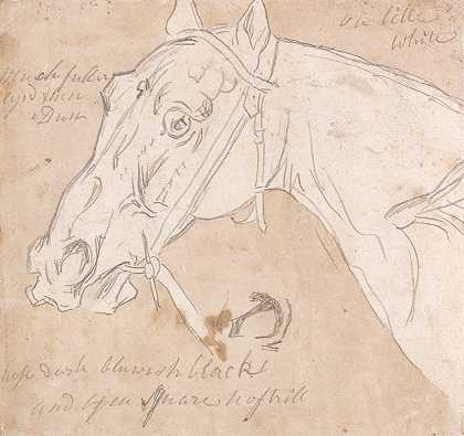 马头朝左`Head of a Horse, Facing Left by James Seymour