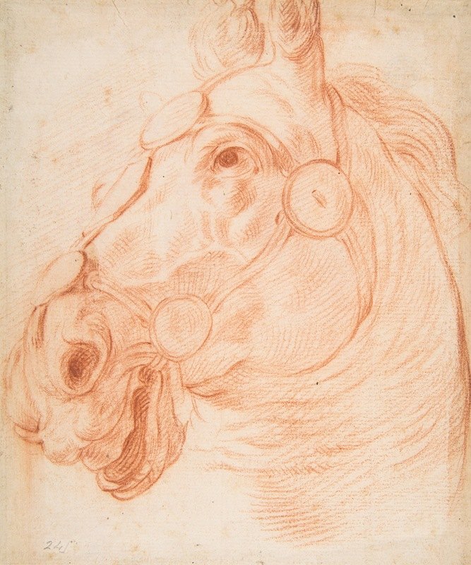 为马学习头`Study for a Horses Head (ca. 1650) by Circle of Baldassarre Franceschini