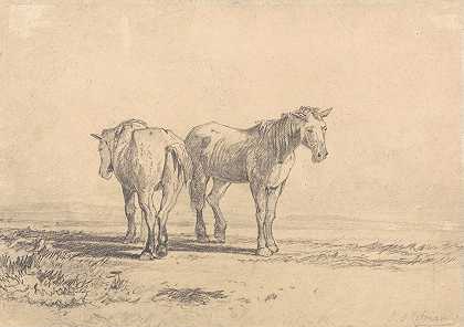 两匹老马站在田野里`Two Old Horses Standing in a Field by John Sell Cotman
