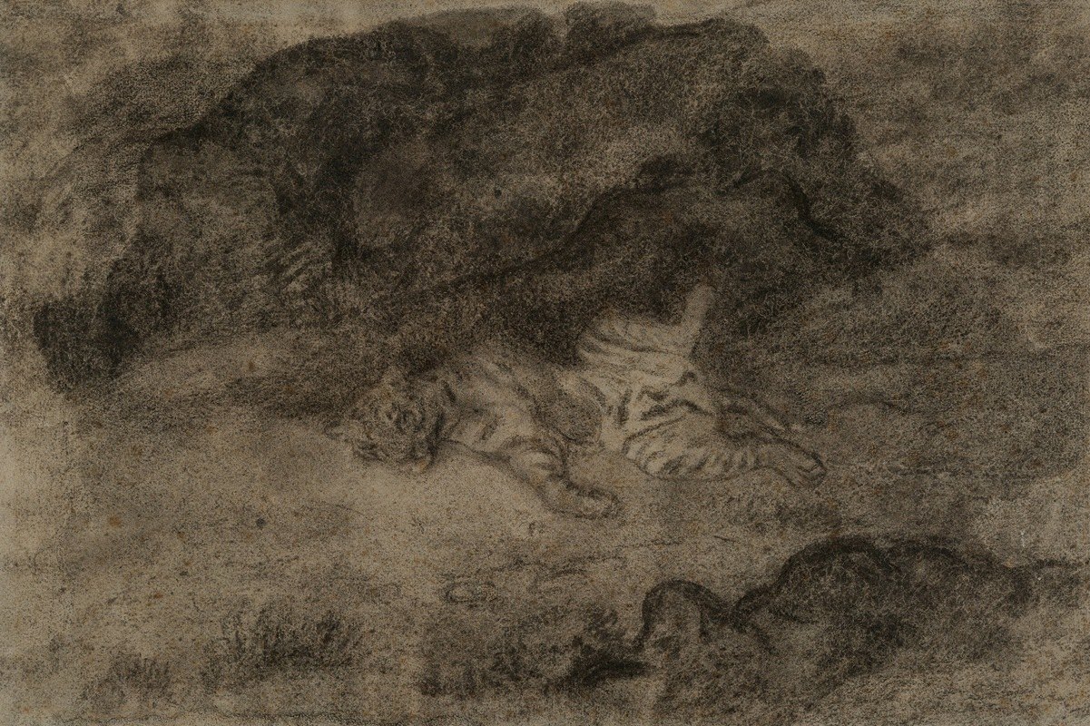 ~A tiger sprawling among the rocks-
