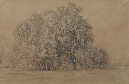 下奥地利州西本斯坦城堡公园的桦树群`Birkengruppe im Park von Schloss Seebenstein in Niederösterreich (1866) by Josef Höger