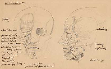 头部肌肉`Human head muscles (1884~1900) by Stanisław Wyspiański