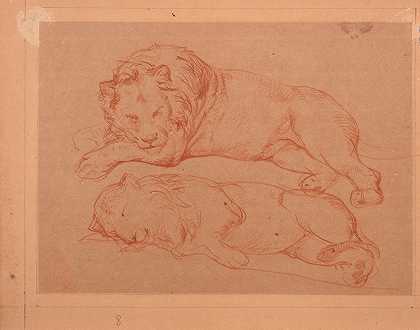两只卧狮的研究`Étude de deux lions couchés by Jacques-Raymond Brascassat