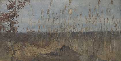 沼泽景观研究`Study of a Marsh Landscape (1900) by Ladislav Mednyánszky