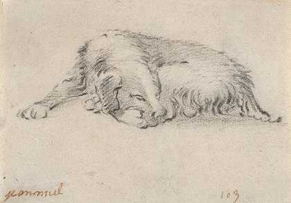对一只睡狗的研究`Study of a Sleeping Dog (mid~17th century) by Jan Miel