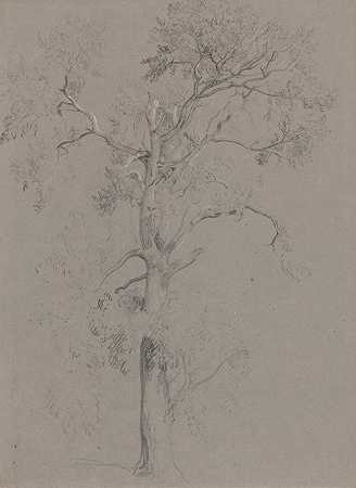 阿什特德公园的灰树`Ash Tree in Ashstead Park by Peter DeWint