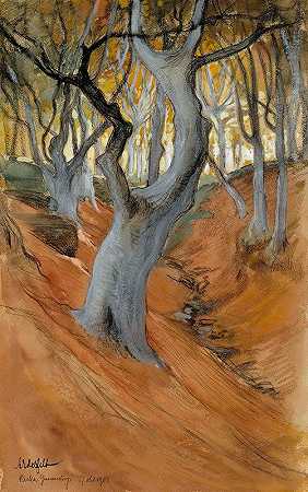 榉林`Beech Forest (1901) by Albert Edelfelt