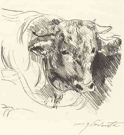 牛头（斯蒂尔科普夫）`Head of a Steer (Stierkopf) (1912) by Lovis Corinth