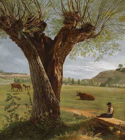波拉德·威洛`Pollard Willow (after 1804) by Pierre Jean Boquet