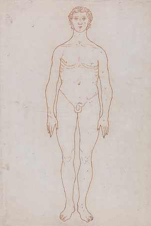 研究人体前景观`Study of the Human Figure, Anterior View (1795 to 1806) by George Stubbs
