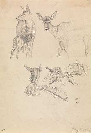 鹿和它们的幼崽`Deer and their Young (1812) by Robert Hills