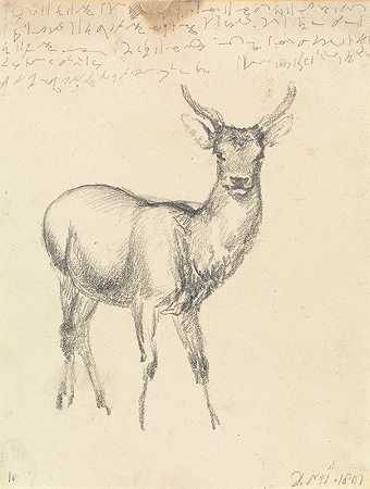 小鹿`A Young Deer (1801) by Robert Hills
