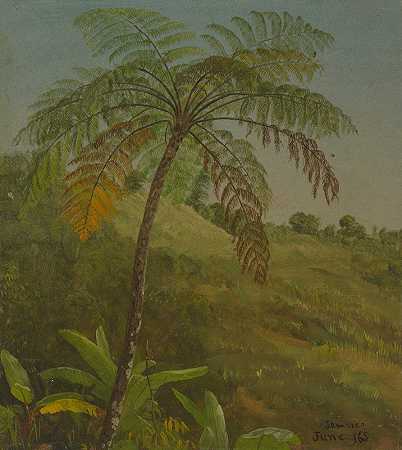牙买加棕榈树`Palm Tree, Jamaica (1865) by Frederic Edwin Church