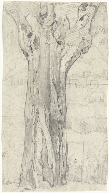 柳树`Knotwilg (1878 ~ 1938) by Richard Nicolaüs Roland Holst