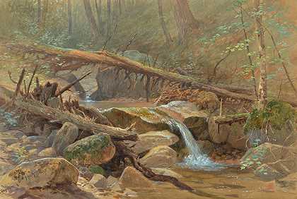 在树林里游泳`Pool in the Woods (1875)