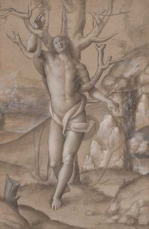 圣塞巴斯蒂安`Saint Sebastian (ca. 1525) by Gerolamo Giovenone