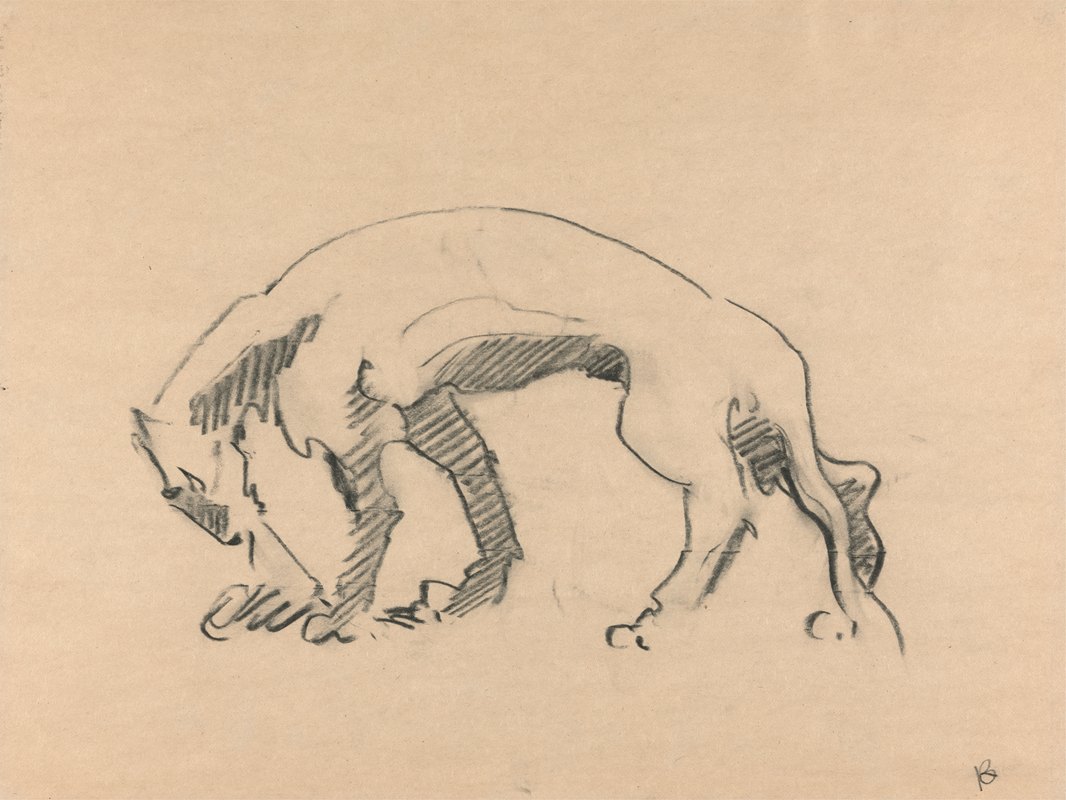 侧面的母狮`Lioness in Profile (1910 ~ 1915) by Henri Gaudier-Brzeska