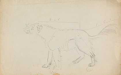 狗（标有尺寸）`A Dog (marked with measurements) by James Sowerby