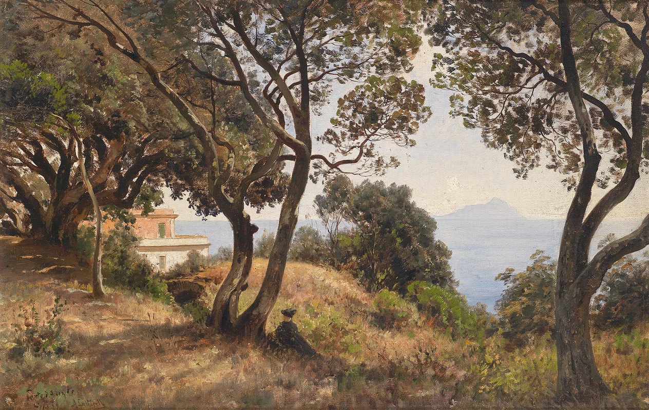 南景`Südliche Ansicht (1889) by Ascan Lutteroth