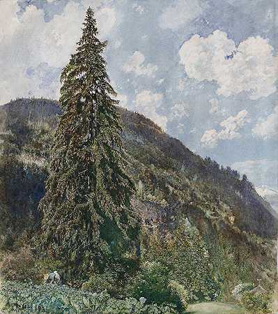 巴德加斯坦的老云杉`The old Spruce in Bad Gastein (1899) by Rudolf von Alt