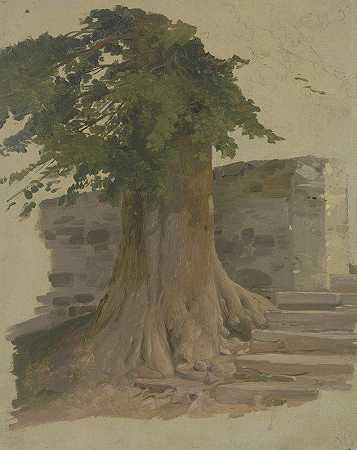 墙上的一棵老树`Alter Baum an einem Mauerstück by Jakob Becker