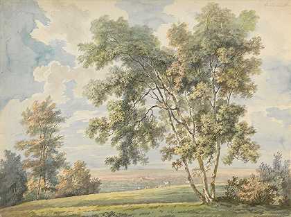 有树有羊的景观（有羊的公园景观）。`Landscape with Trees and Sheep (Park Landscape with Sheep). by George Barret