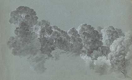 森林树梢被撞`Forest Treetops Struck by Light (c. 1800) by Light by Heinrich Rieter