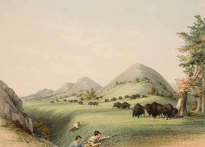 水牛狩猎，在峡谷中逼近`Buffalo Hunt, Approaching in a Ravine (1844) by George Catlin